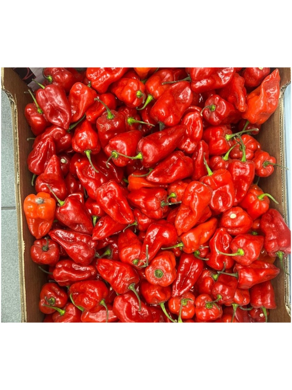 Box of Scotch Bonnet